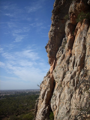 Araps 002