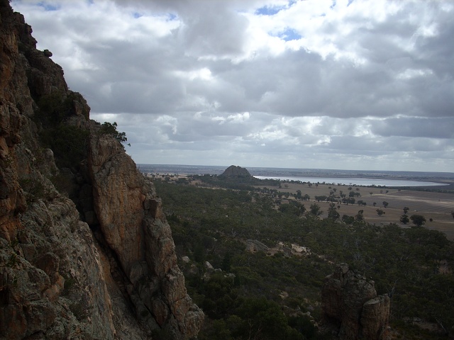 Araps 014