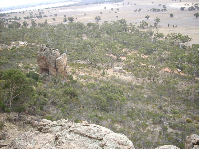 Araps 015