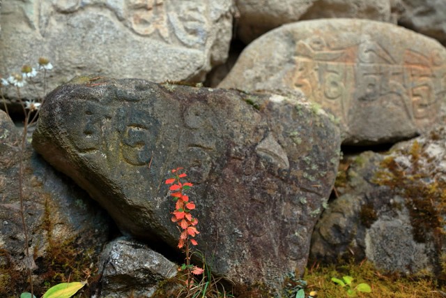 Monestery At Ghunsa