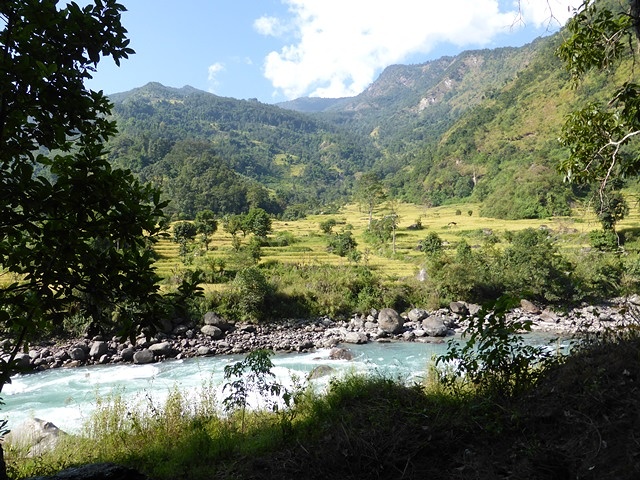 P1000954