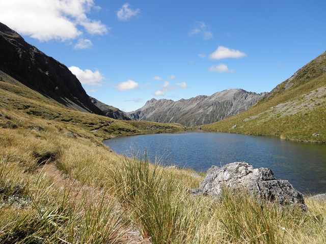 024 Tarn Col 2