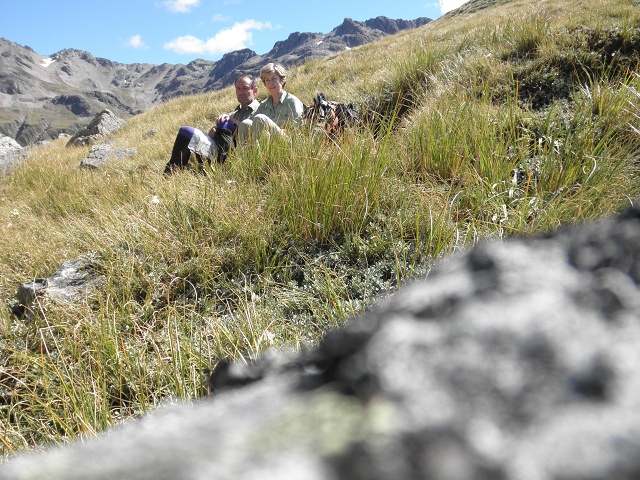 025 Tarn Col 1