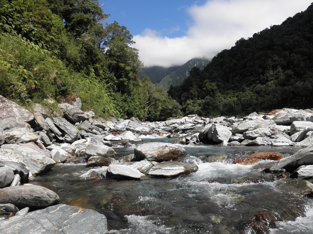 040 Toaroha River