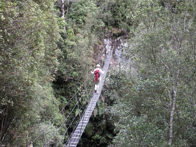 043 Upper Cedar Flat Bridge 1