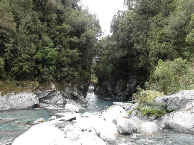 065 Toaroha Gorge Near Cedar