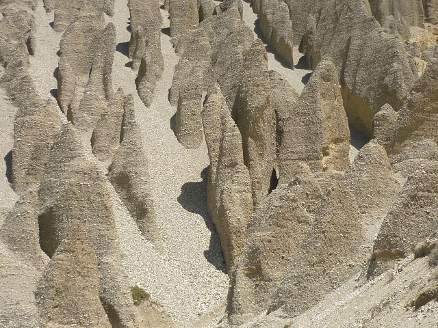 P1020346