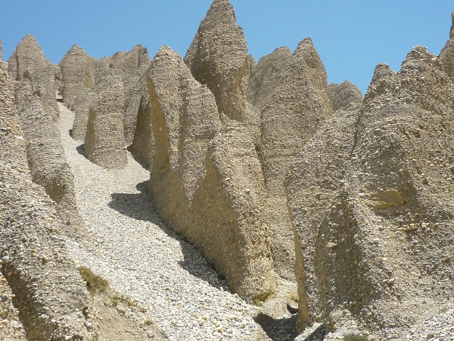 P1020347