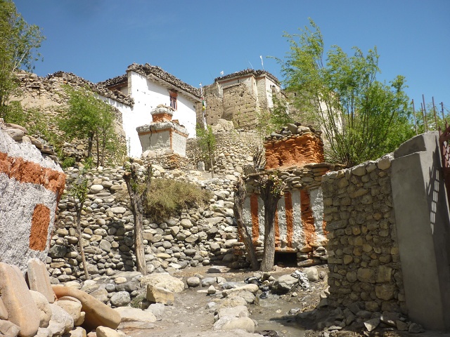 P1020351