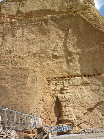 P1020354
