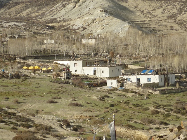P1020374