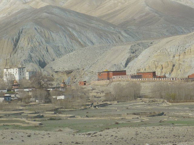 P1020390