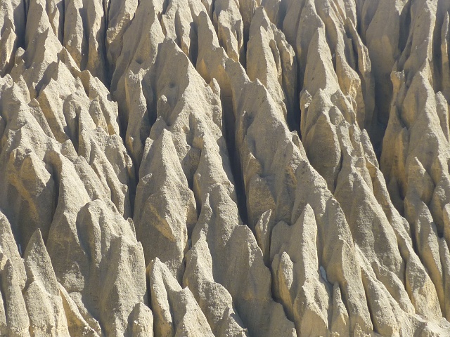 P1020418