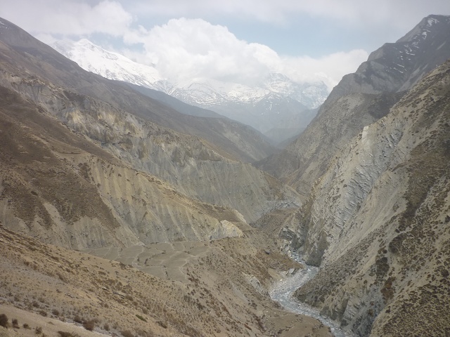 P1020488