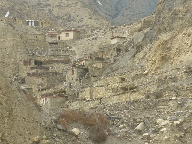 P1020492