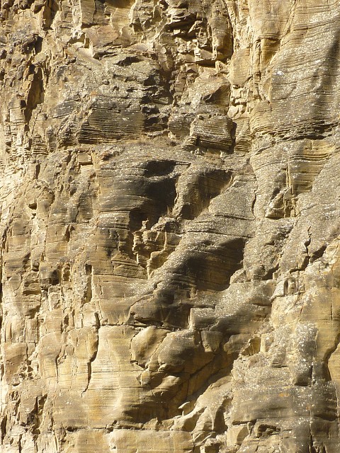 P1020509