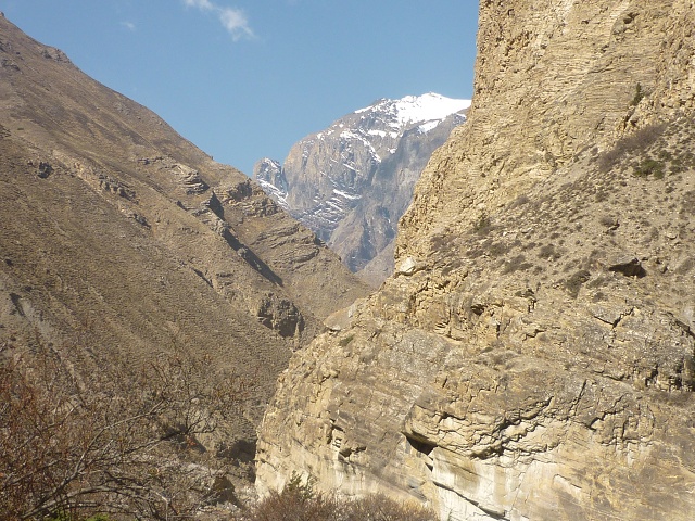 P1020511