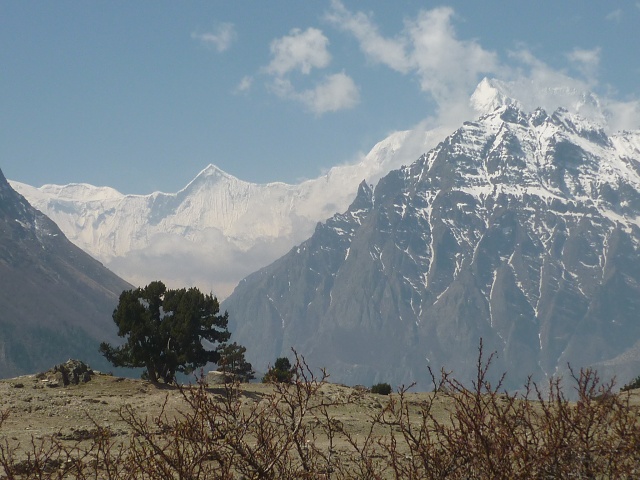 P1020519