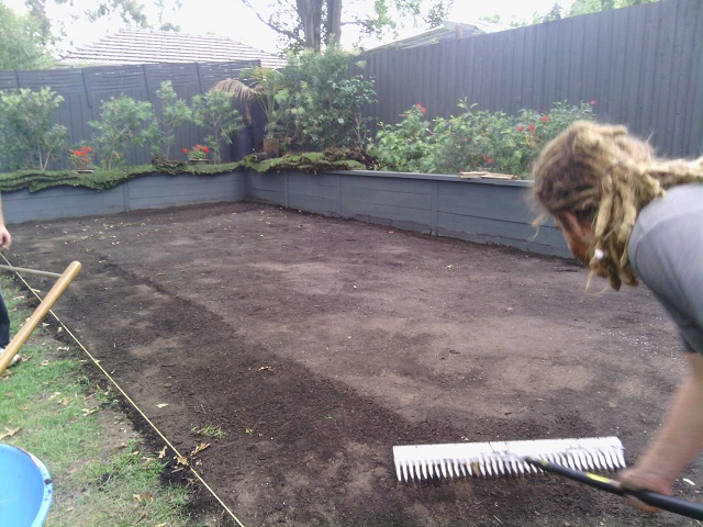 23 The New Wall Frames The Lawn