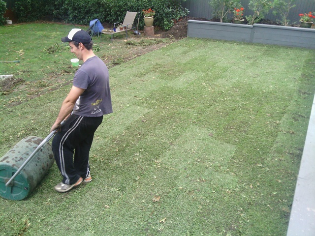 28 Lawn Almost Finished